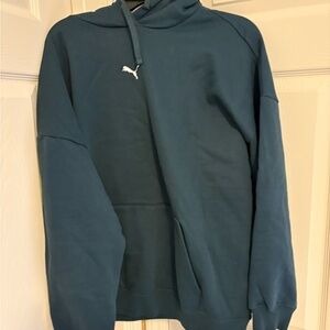 Puma Men's Teal Hoodie Sweater